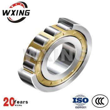 Cylindrical Roller Bearing NUP307
