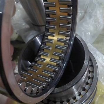 Z-511605.ZL Roller Bearings